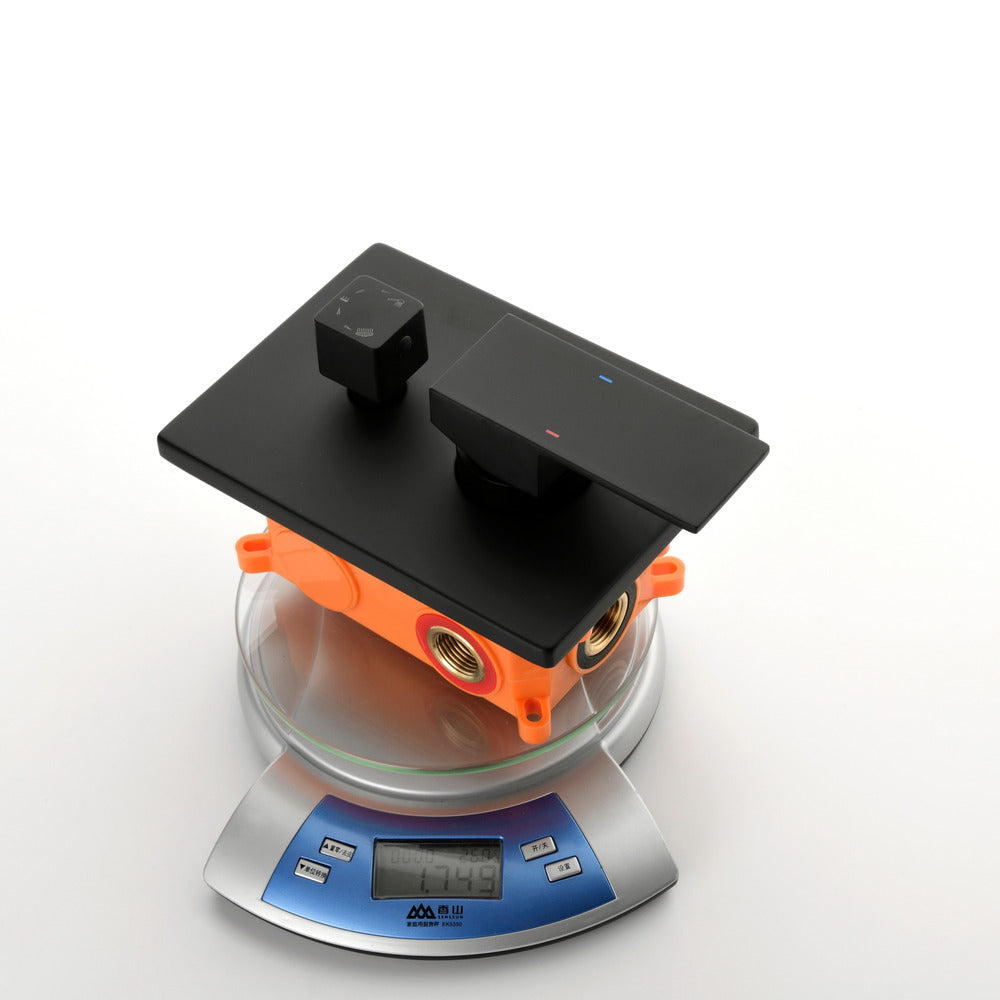 Complete Shower System with Head, Hand Shower, Trim, and Niche