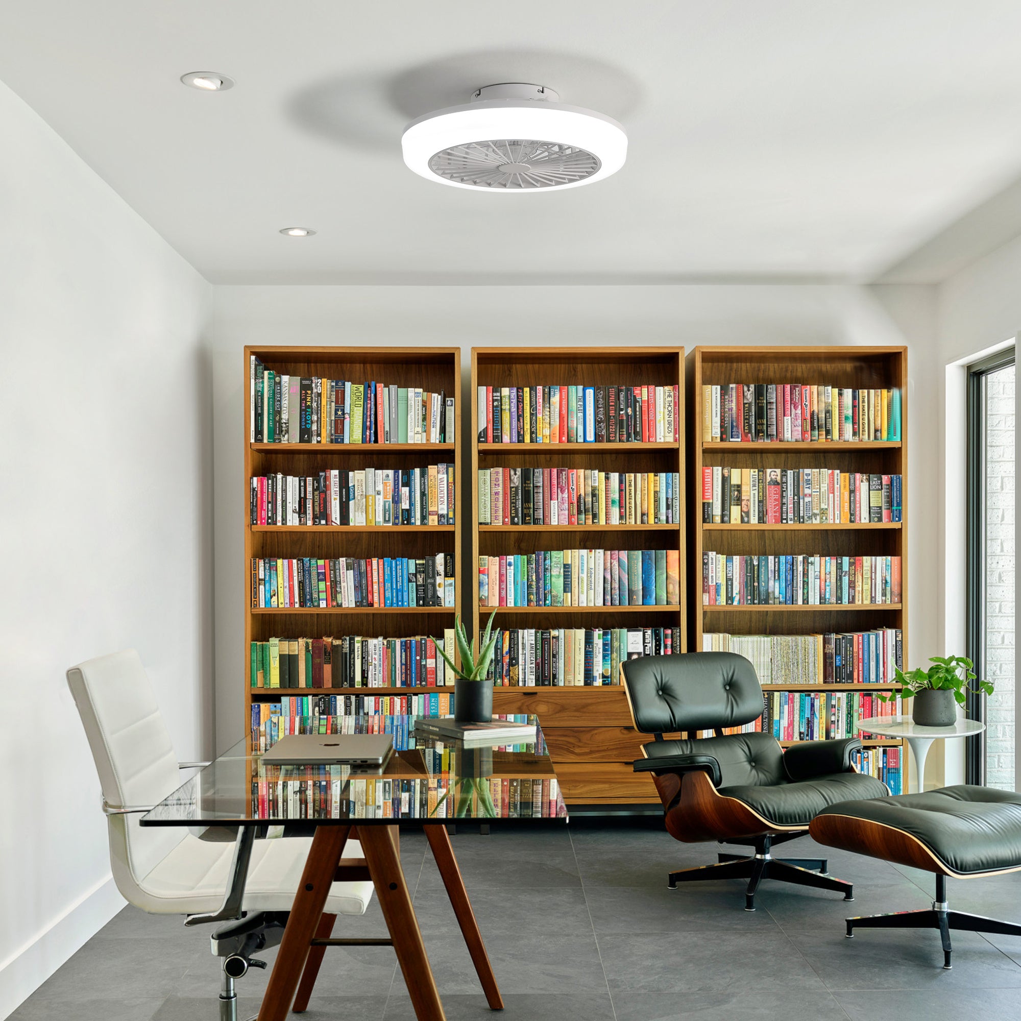 Plastic Ceiling Fans