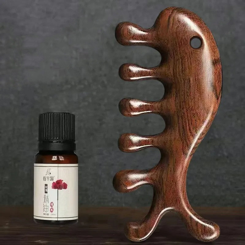 Stylish And Simple Natural Ebony Meridian Comb