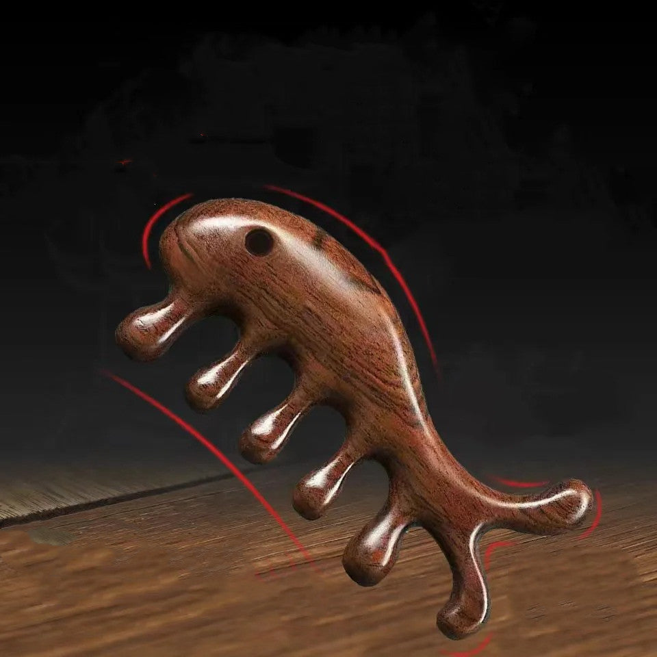 Stylish And Simple Natural Ebony Meridian Comb